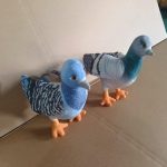 Maskotka Pluszowy Gołąbek Gołąb Ptak 2324962