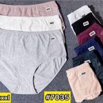 Majtki damskie _ Size 2-3XL_ paczka 24szt _mix kolor 3352759