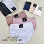 Majtki damskie _ Size XL-3XL_ paczka 24szt _mix kolor 3352762
