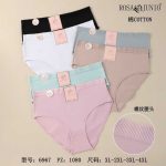 Majtki damskie _ Size XL-4XL_ paczka 24szt _mix kolor 3352766