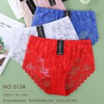 Majtki damskie _ Size l-2xl_ paczka 24szt _mix kolor 3922270