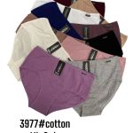 Majtki damskie _ Size xl-3xl_ paczka 24szt _mix kolor 3922288
