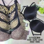 Biustonosz damskie_ Miska E 40-48 paczka 6szt _1 kolor 1128031