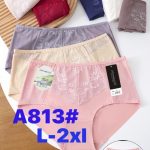 Majtki damskie _ Size XL_ paczka 24szt _mix kolor 3237557
