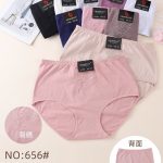 Majtki damskie _ Size 4-5XL_ paczka 24szt _mix kolor 5349608