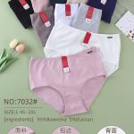Majtki damskie _ Size L-2XL_ paczka 24szt _mix kolor 5349609