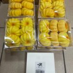 ZESTAW GNIOTEK SQUISHY 5254449