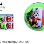 PILKA DO PILKI NOZNEJ 1754052