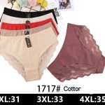 Majtki damskie _ Size 2-4xl_ paczka 24szt _mix kolor 2440076