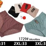 Majtki damskie _ Size xl-3xl_ paczka 24szt _mix kolor 6175352