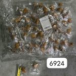 Gniotki kapibara mini 2166848