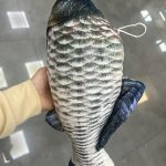 MASKOTKA Pluszowa Ryba 45CM 2171046