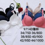 Biustonosz damskie_Miska D 75-100 _paczka 6szt _1 kolor 4351832