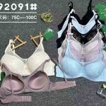 Biustonosz damskie_Miska C 75-100 _paczka 6szt _1 kolor 9682043