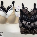 Biustonosz damskie_Miska D 34-44_paczka 6szt _1 kolor