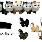 MASKOTKI KOT
