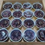 Gniotki Dumplings 5851292