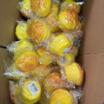 ZABAWKA GNIOTEK SQUISHY 3836863