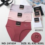 Majtki damskie _ Size XL-3XL_ paczka 24szt _mix kolor 9960405