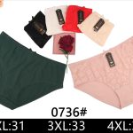 Majtki damskie _ Size 2-4xl_ paczka 24szt _mix kolor 1444864