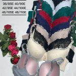 Biustonosz damskie_Miska E 85-110_paczka 6szt _1 kolor 7001906