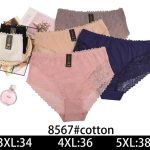 Majtki damskie _ Size 3-5XL_ paczka 24szt _mix kolor 7869686