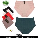 Majtki damskie _ Size 2-4XL_ paczka 24szt _mix kolor 1016148