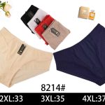 Majtki damskie _ Size 2-4XL_ paczka 24szt _mix kolor 1016156