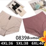 Majtki damskie _ Size 4-6XL_ paczka 24szt _mix kolor 4015990