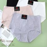 Majtki damskie _ Size xl-3xl_ paczka 24szt _mix kolor 3154317