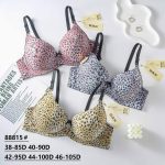 Biustonosz Damskie_Miska D 85-105 _paczka 6szt _1 kolor 8143371