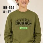 Bluza DZIECIĘCA size 8-16 lat_ paczka 5szt _1 kolor 7184514