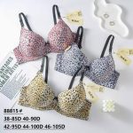 Biustonosz Damskie_Miska D 85-105 _paczka 6szt _1 kolor 1809555