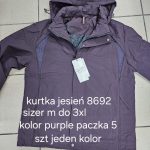 Kurtki MĘSKA_size m-3xl_paczka 5 szt_1kolor 9501910