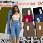 Spodenki Damskie _ Size 5-9XL_ paczka 12szt _mix kolor 6948631