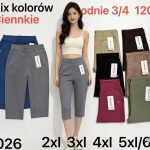 Spodenki Damskie _ Size 2-6XL_ paczka 12szt _mix kolor 6948635