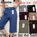 Spodenki Damskie _ Size 2-6XL_ paczka 12szt _mix kolor 6948636