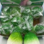GNIOTEK SQUISHY 1849814