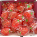 GNIOTEK SQUISHY 2634239