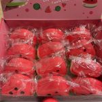 GNIOTEK SQUISHY 1849815