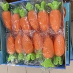 GNIOTEK SQUEEZE MARCHEWKA 728200