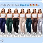 Spodnie Damskie _ size 2-7xl _paczka 12szt_mix kolor 1449974