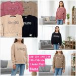 Bluza DZIECIĘCA numer 128-164_ paczka 7szt _1 kolor 1450205