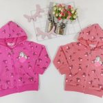 Bluza DZIECIĘCA size 1-5 lat_ paczka 10szt _mix kolor 4363155