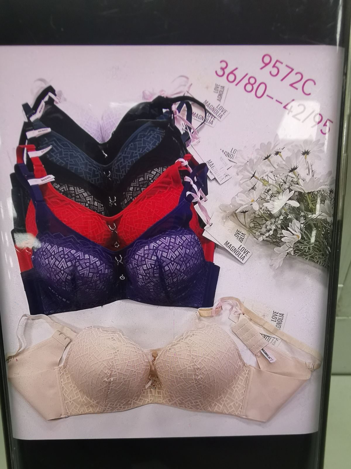 Biustonosz Damskie_Miska C 80-95_paczka 6szt _1 kolor 3061402