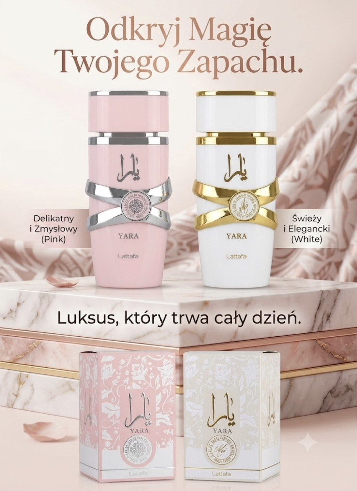 perfume yara lattafa 100 ml Paczka 12 szt 6482174