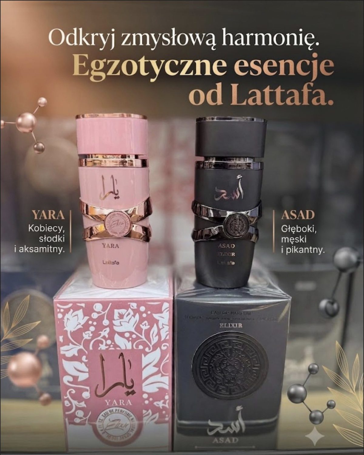 perfume yara lattafa 100 ml Paczka 12 szt 6482175