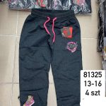 Spodnie DZIECIĘCA size 13-16 lat_ paczka 4szt _1 kolor 2627742