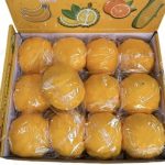 ZABAWKA GNIOTEK SQUISHY 5290560