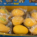GNIOTEK SQUISHY 8932418